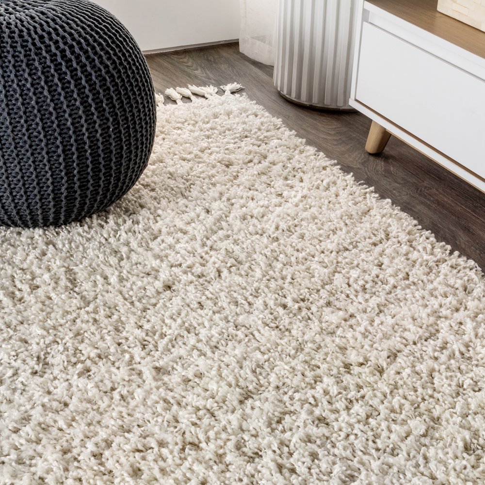 Mercer Shag Plush Tassel Area Rug. Picture 5
