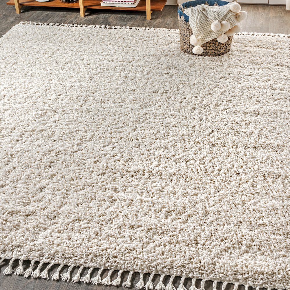 Mercer Shag Plush Tassel Area Rug. Picture 2