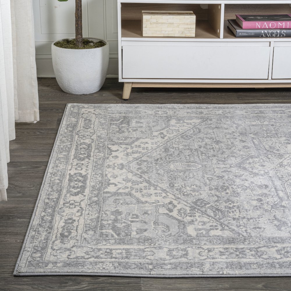 Jerica Modern Persian Vintage Medallion Area Rug. Picture 3