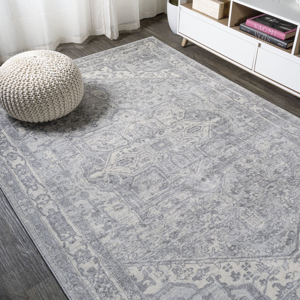 Jerica Modern Persian Vintage Medallion Area Rug. Picture 4