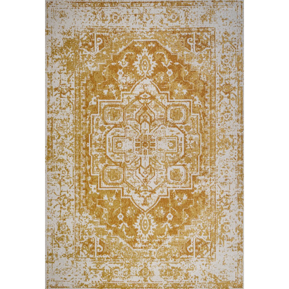 Audrey Bohemian Ornate Medallion Area Rug. Picture 1
