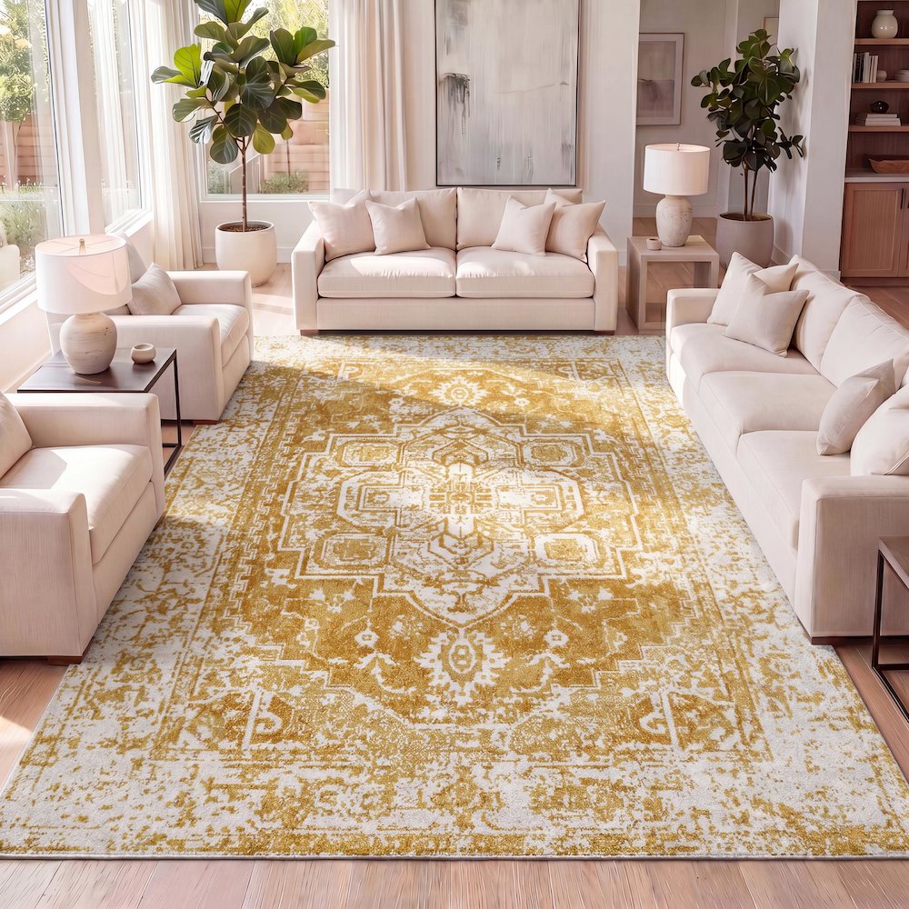 Audrey Bohemian Ornate Medallion Area Rug. Picture 12