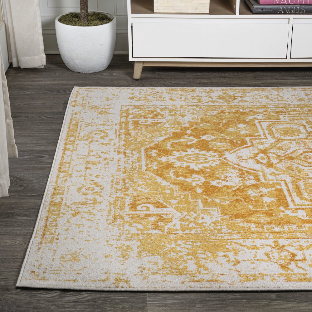 Audrey Bohemian Ornate Medallion Area Rug. Picture 3