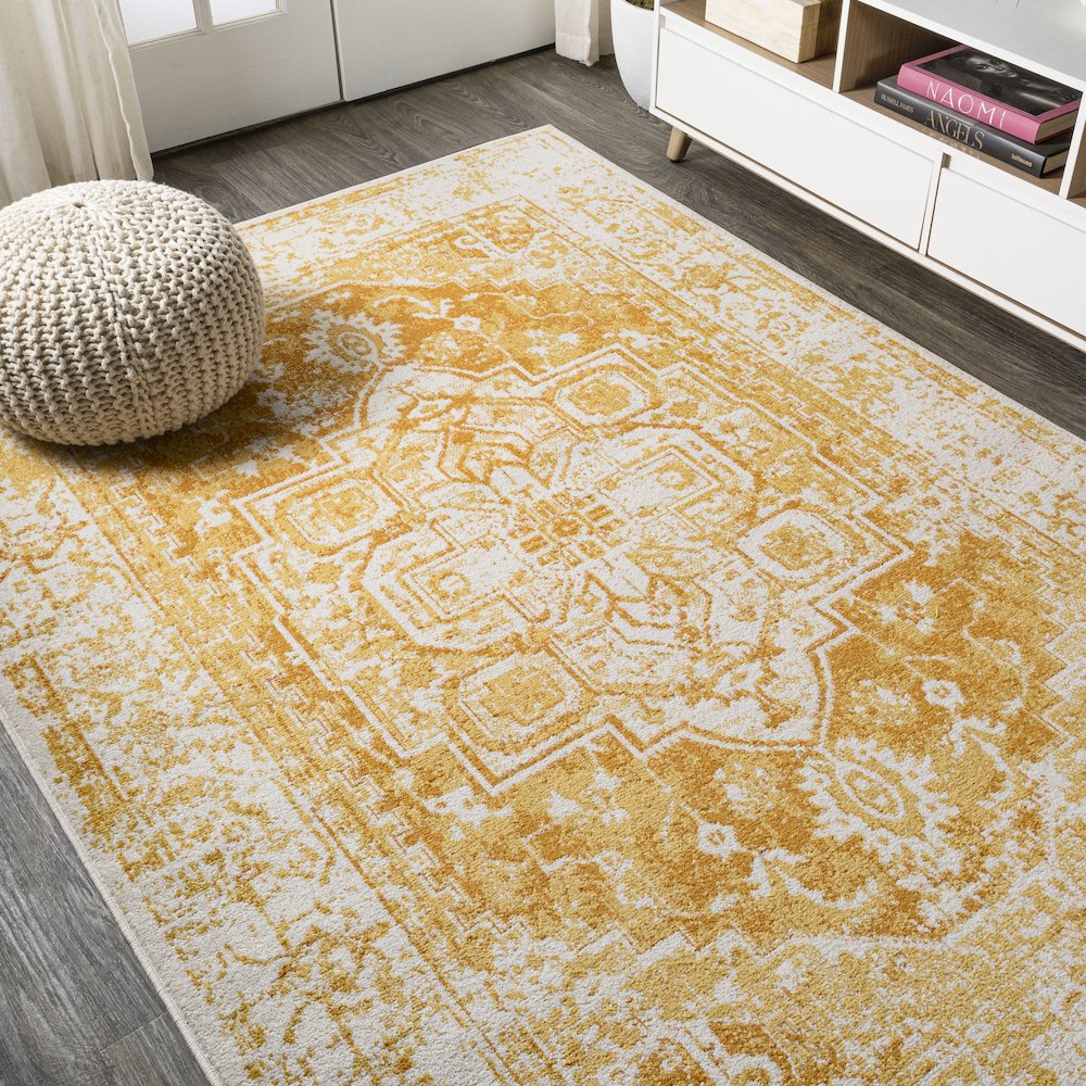 Audrey Bohemian Ornate Medallion Area Rug. Picture 4