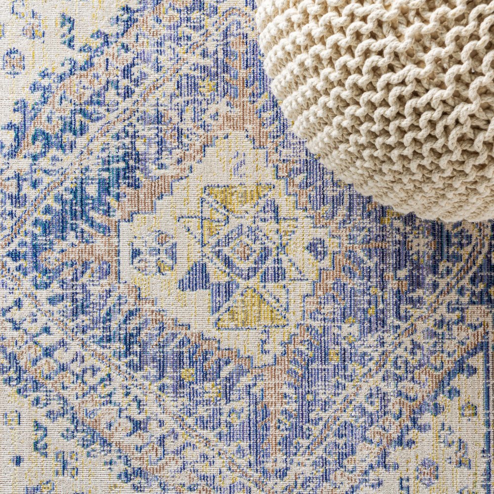 Darija Ornate Geometric Medallion Area Rug. Picture 4