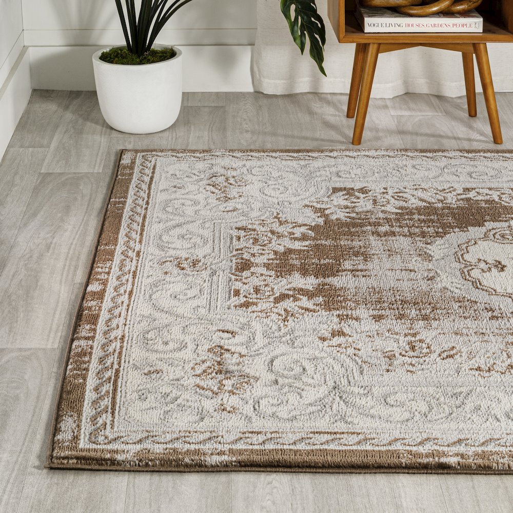 Rosalia Cottage Medallion Area Rug. Picture 1