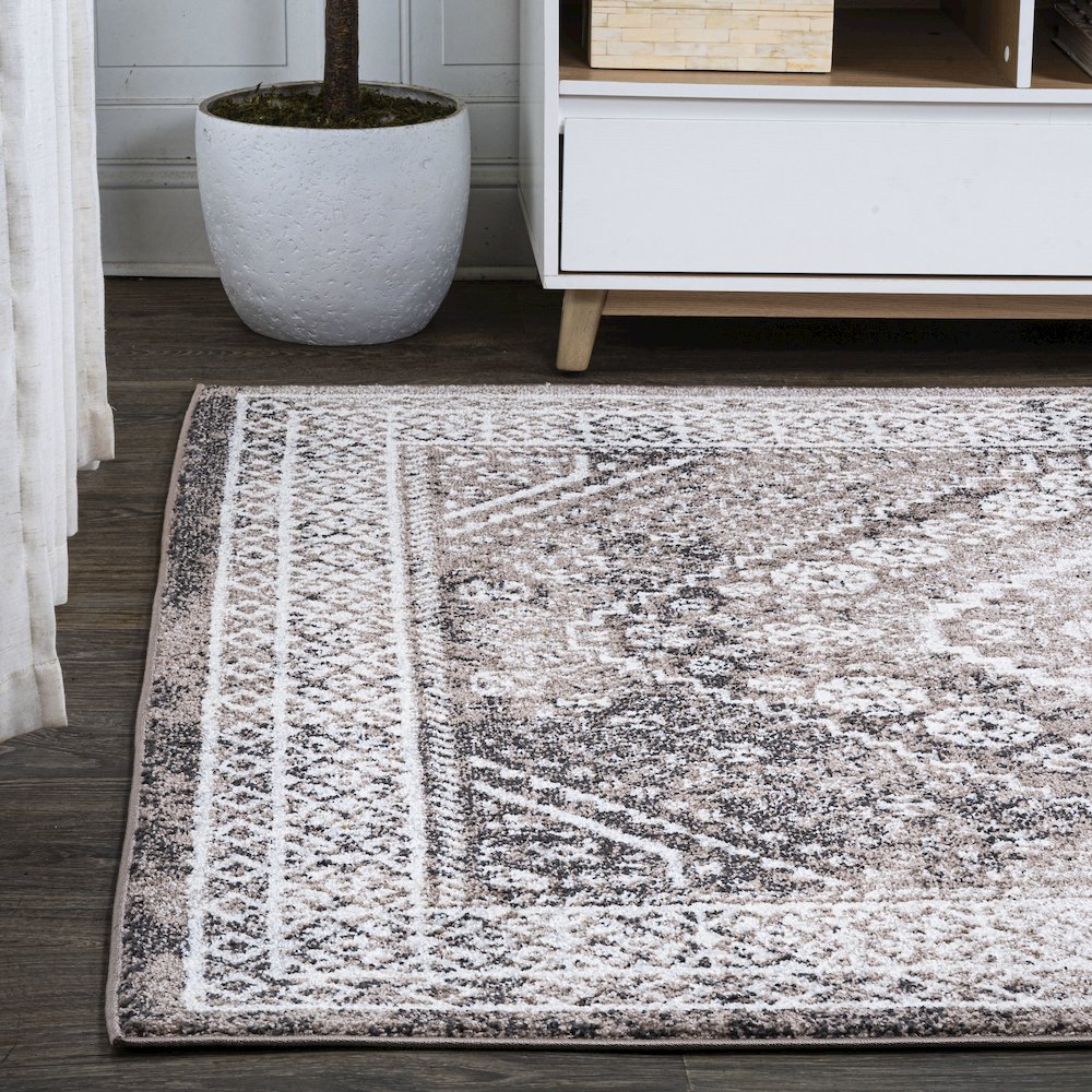 Boho Cottage Medallion Area Rug. Picture 3
