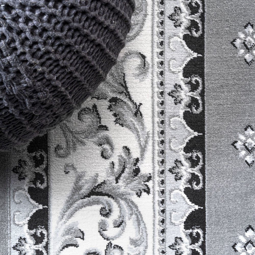 Acanthus French Border Area Rug. Picture 4
