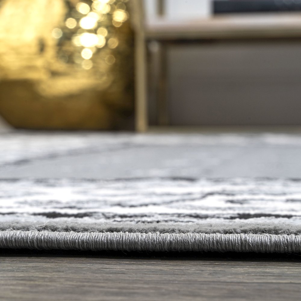 Acanthus French Border Area Rug. Picture 9