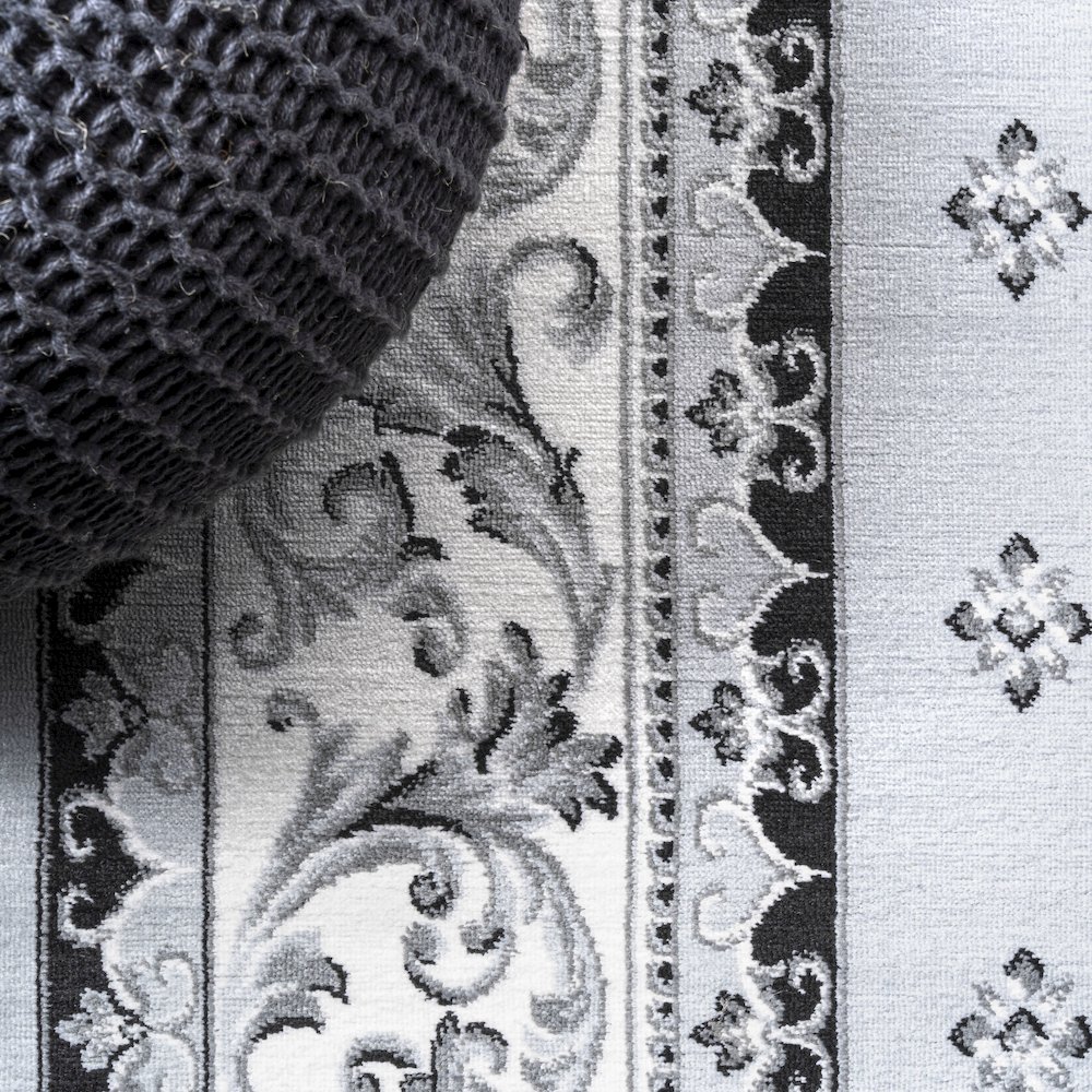 Acanthus French Border Area Rug. Picture 4
