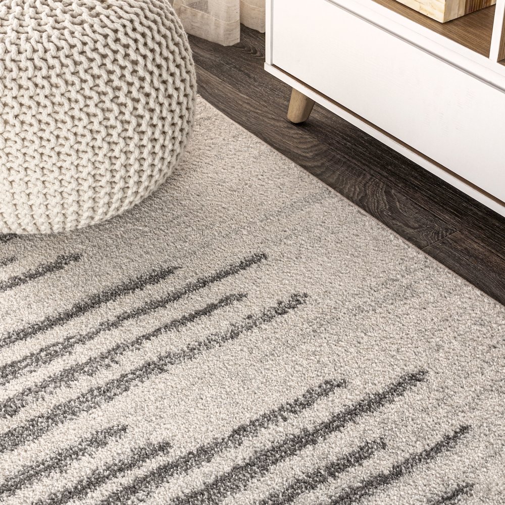 Aya Berber Stripe Geometric Area Rug. Picture 5
