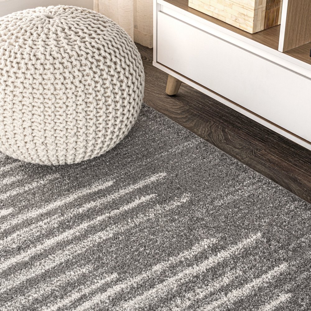 Aya Berber Stripe Geometric Area Rug. Picture 5