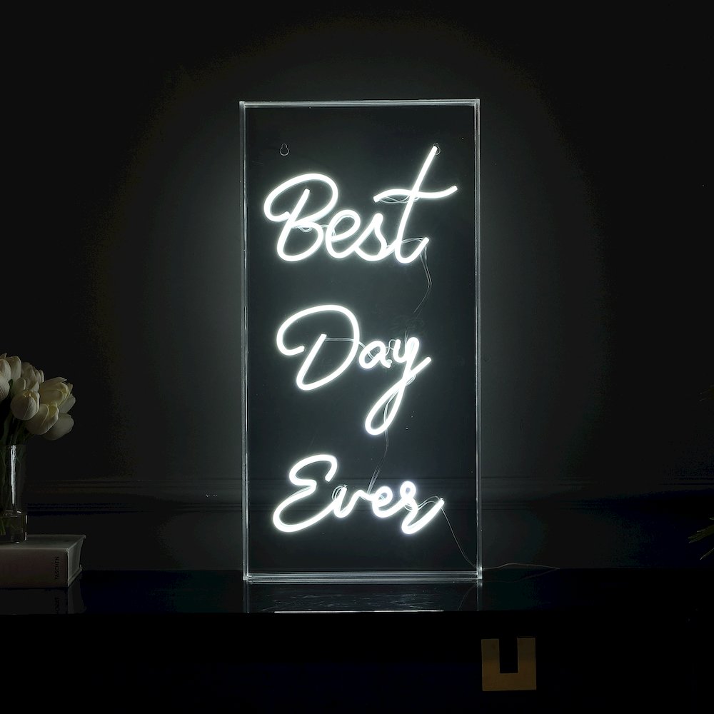 Best Day Ever Contemporary Glam Acrylic Box Usb Operated Led Neon Light. Picture 5