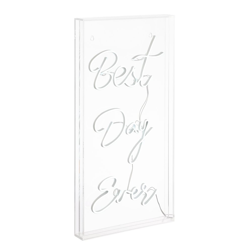 Best Day Ever Contemporary Glam Acrylic Box Usb Operated Led Neon Light. Picture 4