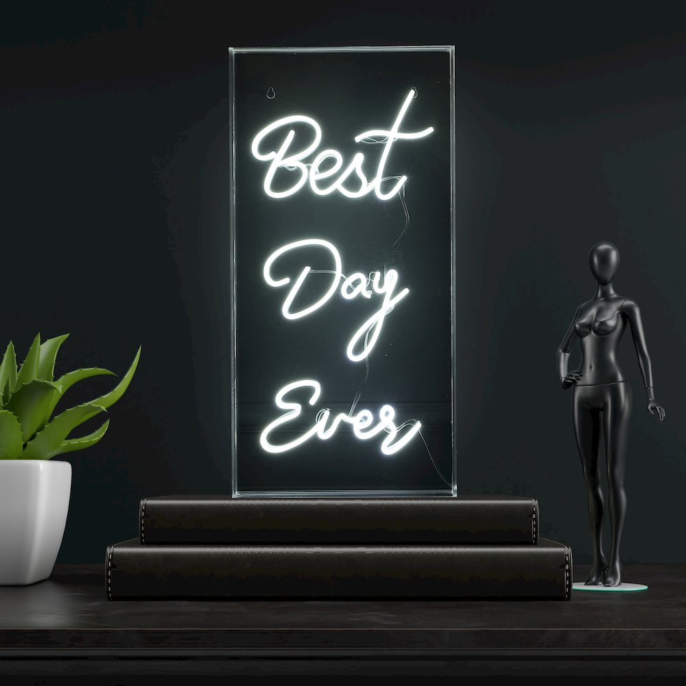 Best Day Ever Contemporary Glam Acrylic Box Usb Operated Led Neon Light. Picture 6