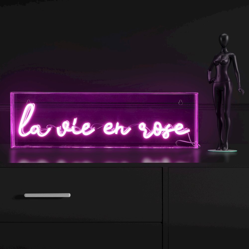 La Vie En Rose Contemporary Glam Acrylic Box Usb Operated Led Neon Light. Picture 6