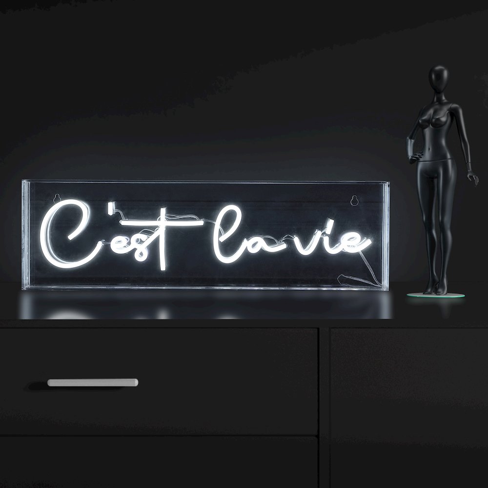 Cest La Vie Contemporary Glam Acrylic Box Usb Operated Led Neon Light. Picture 6
