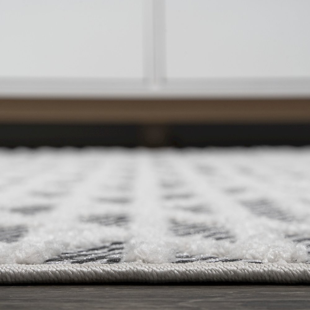 Ararat High-Low Pile Moroccan Diamond Modern Indoor/Outdoor Area Rug. Picture 11