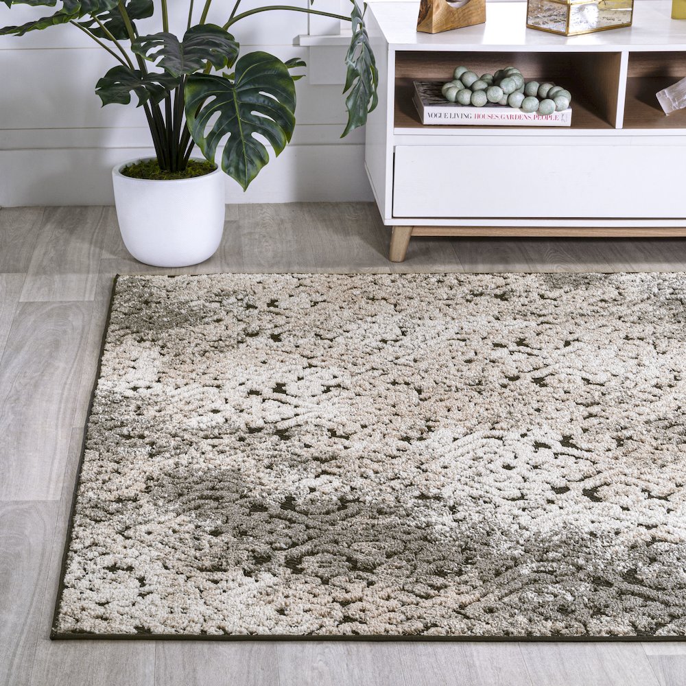 Duenas High-Low Shabby Damask Area Rug. Picture 3
