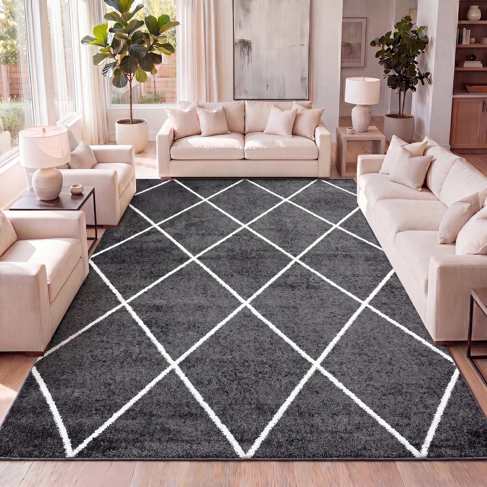 Cole Minimalist Diamond Trellis Area Rug. Picture 28