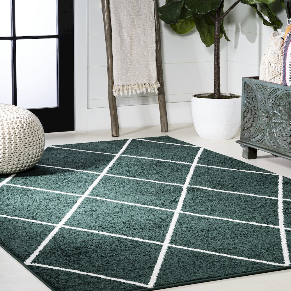 Cole Minimalist Diamond Trellis Area Rug. Picture 5