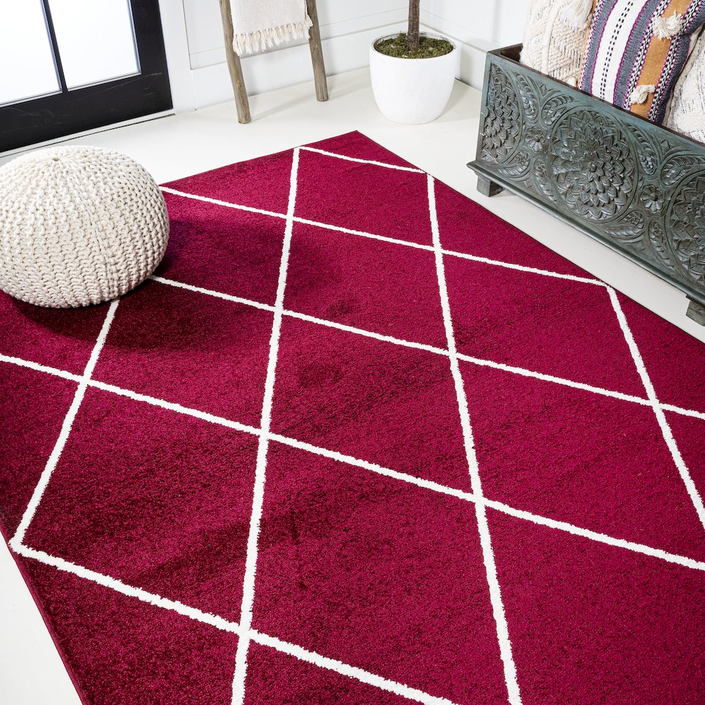 Cole Minimalist Diamond Trellis Area Rug. Picture 4