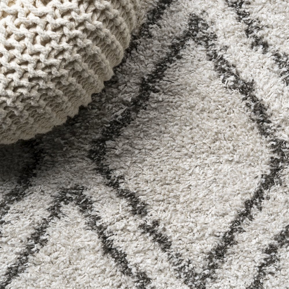 Soller Diamond Trellis Shag Area Rug. Picture 4