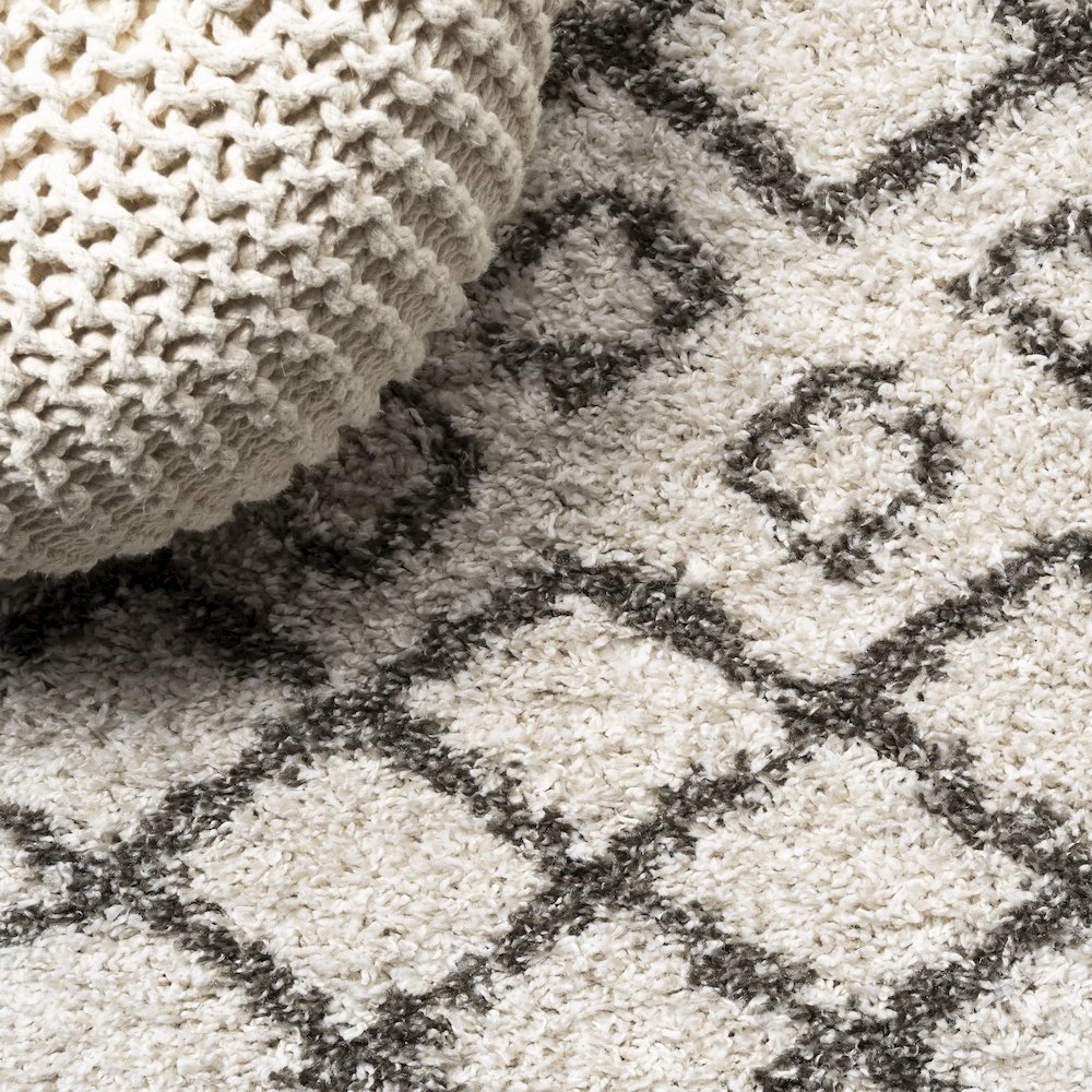 Algaida Moroccan Diamond Shag Area Rug. Picture 4