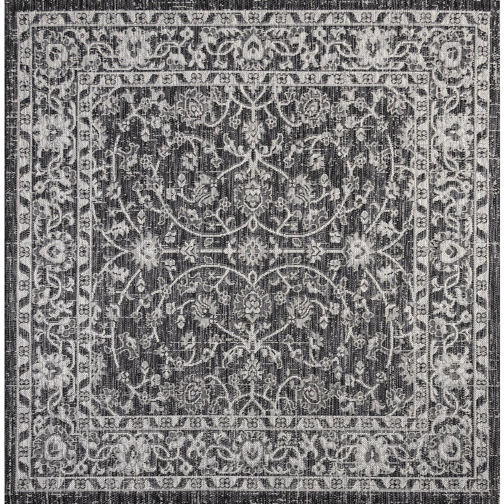 Palazzo Vine And Border Textured Weave Indoor/Outdoor Area Rug. Picture 1