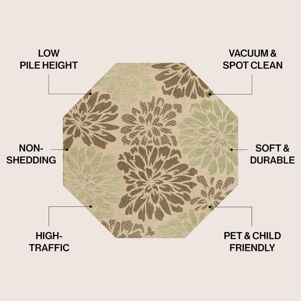 Zinnia Modern Floral Textured Weave Sage/Brown Octagon Indoor/Outdoor Area Rug. Picture 4