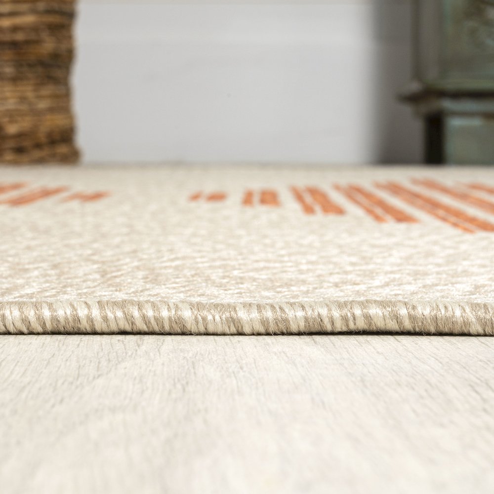Vinales Diamond Stripe Indoor/Outdoor Area Rug. Picture 9