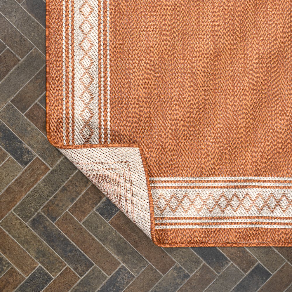 Lucia Classic Diamond Border Indoor/Outdoor Area Rug. Picture 3