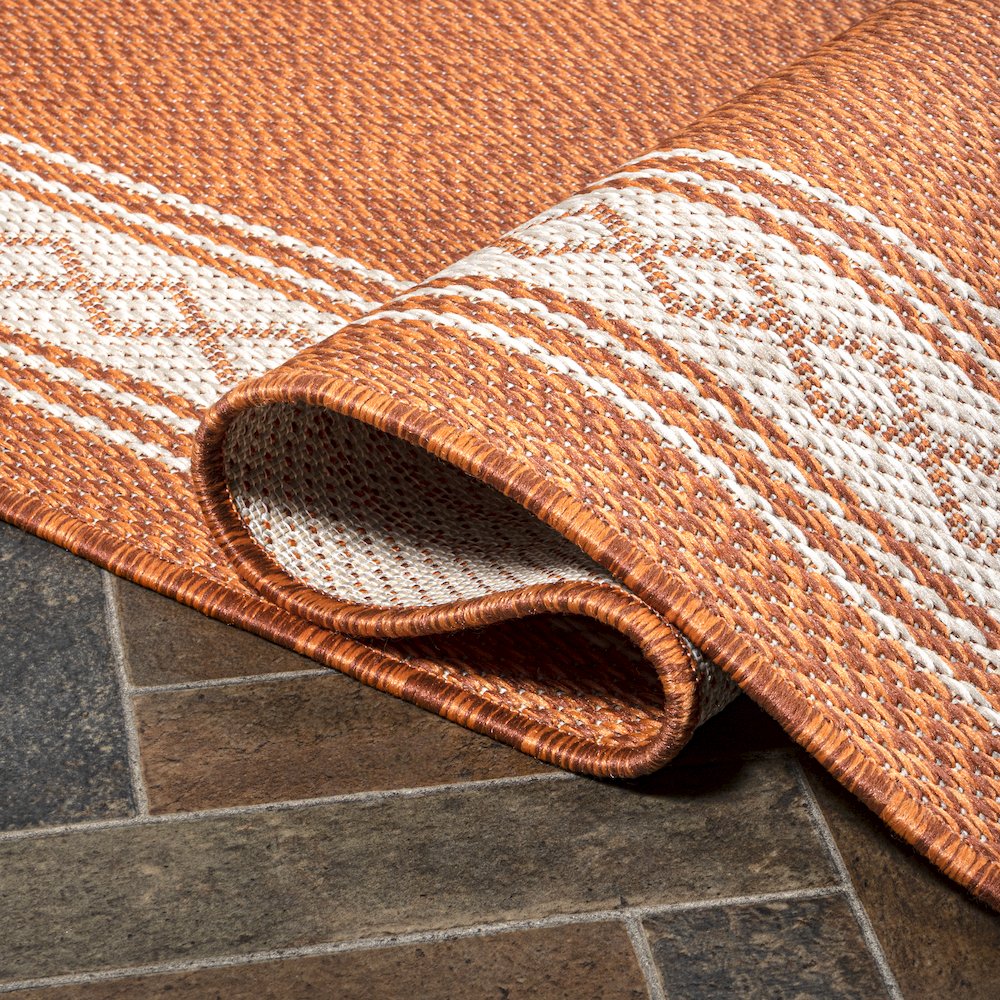 Lucia Classic Diamond Border Indoor/Outdoor Area Rug. Picture 6