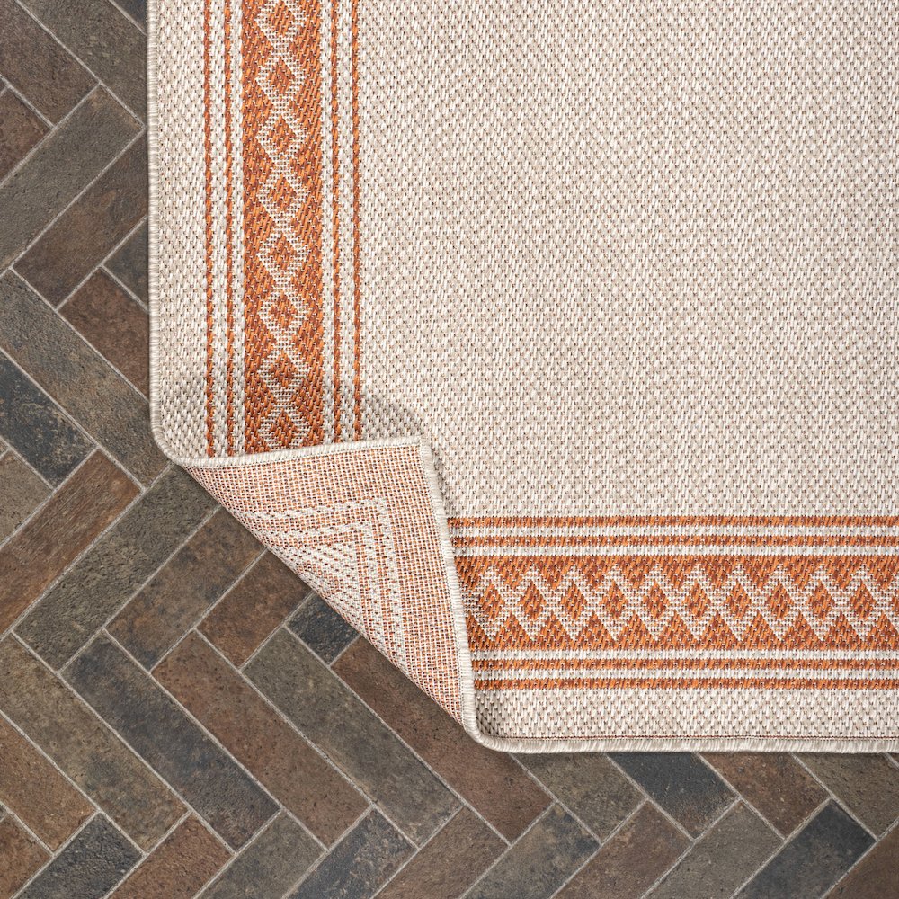 Lucia Classic Diamond Border Indoor/Outdoor Area Rug. Picture 3