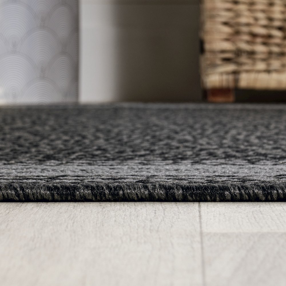 Lucia Classic Diamond Border Indoor/Outdoor Area Rug. Picture 9