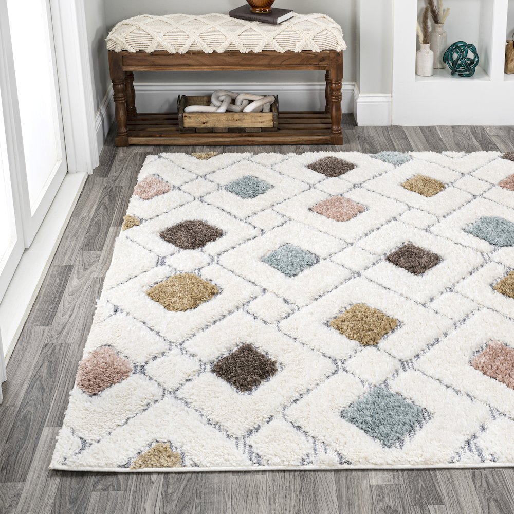 Astrid Retro Trellis High-Low Area Rug. Picture 3