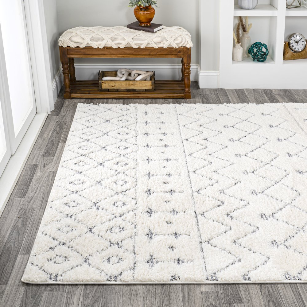 Pia Moroccan Trellis Plush Carved Area Rug. Picture 3