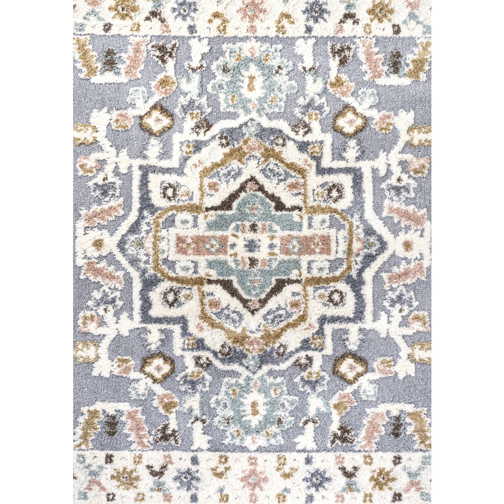 Aziza Persian Medallion High-Low Area Rug. Picture 1
