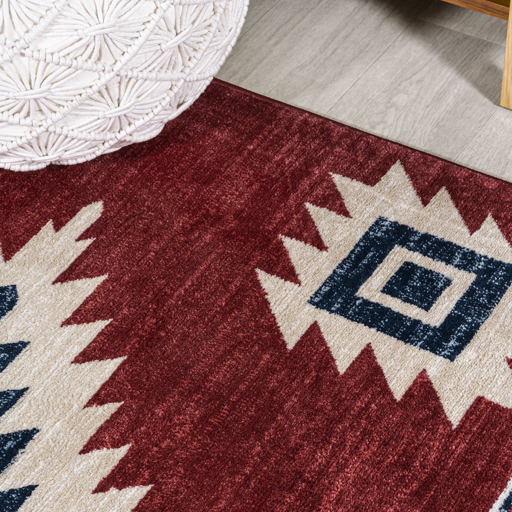 Serape Medallion Southwestern Area Rug. Picture 7