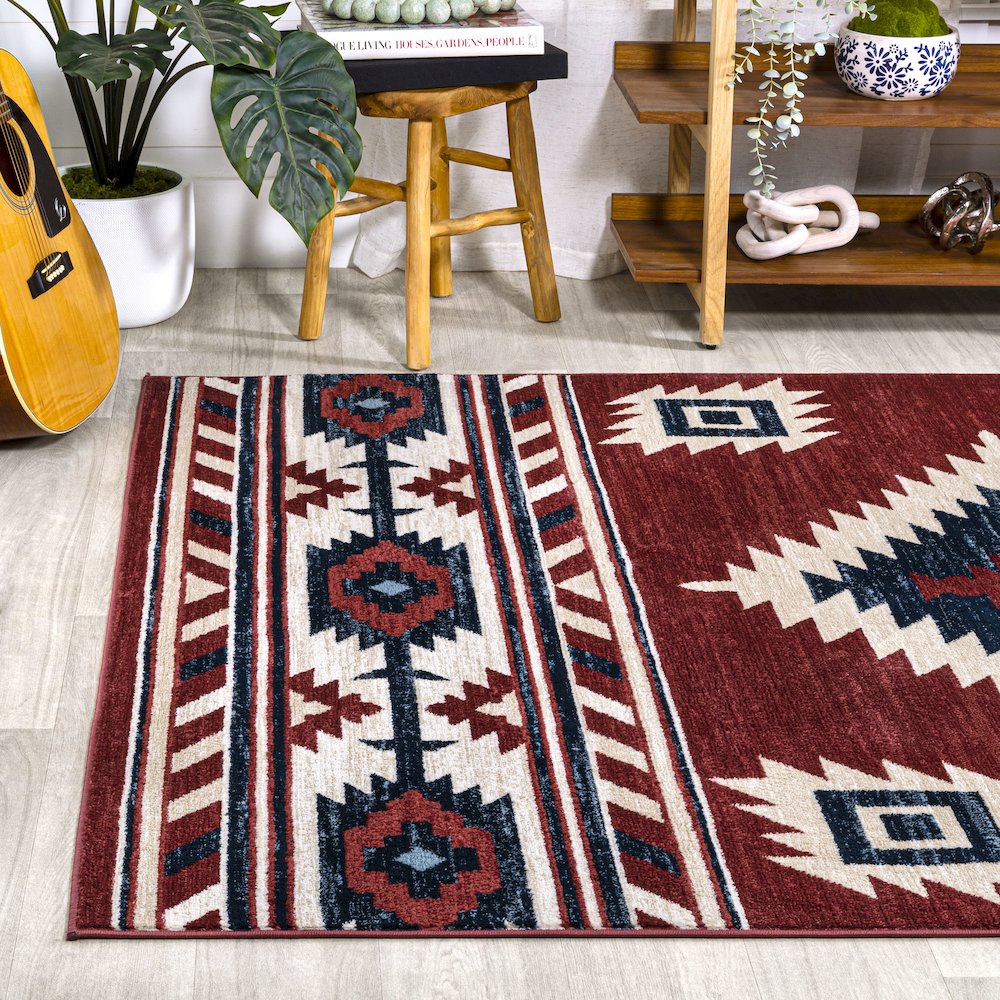 Serape Medallion Southwestern Area Rug. Picture 3