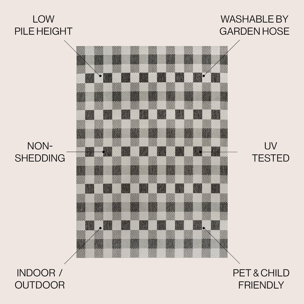 Darcy Traditional Geometric Bold Gingham Indoor/Outdoor Area Rug. Picture 5