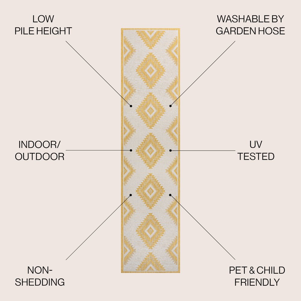 Lior Geometric Moroccan Diamond Indoor/Outdoor Area Rug. Picture 2