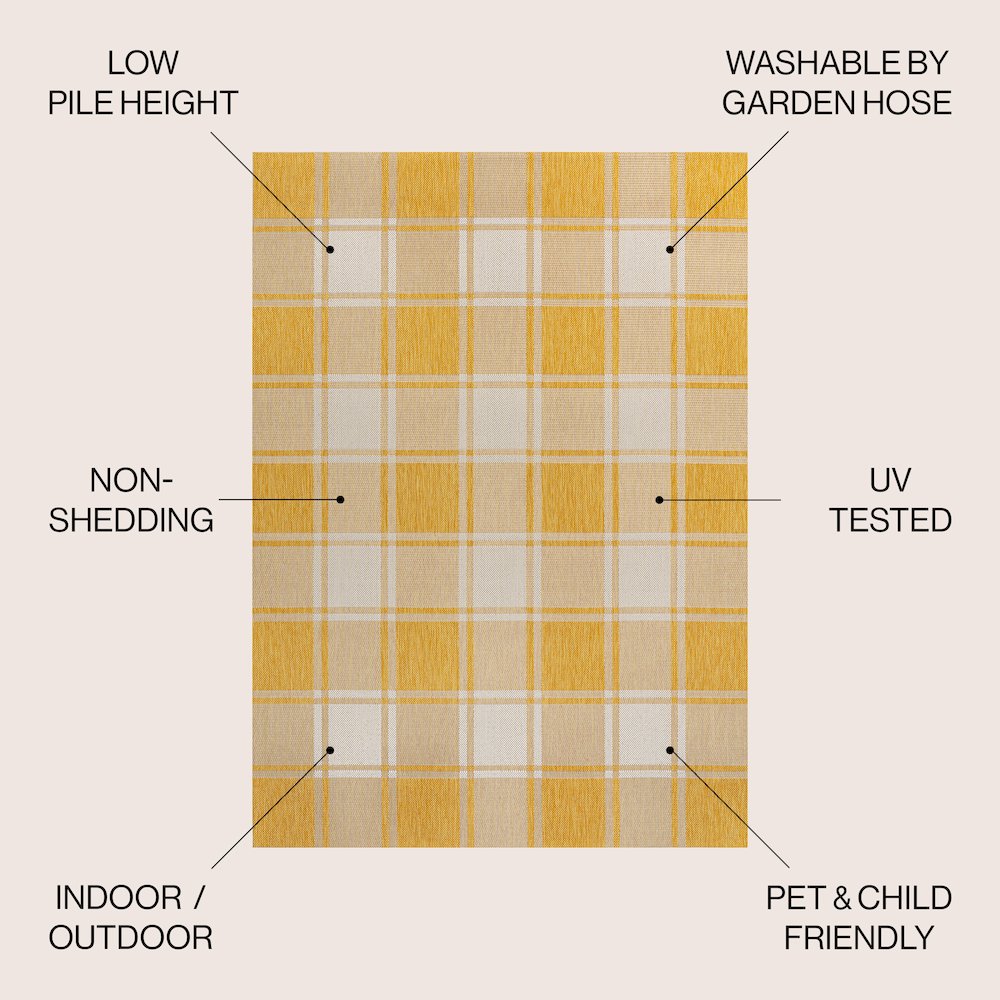 Sabine Traditional Farmhouse Bold Gingham Indoor/Outdoor Area Rug. Picture 5