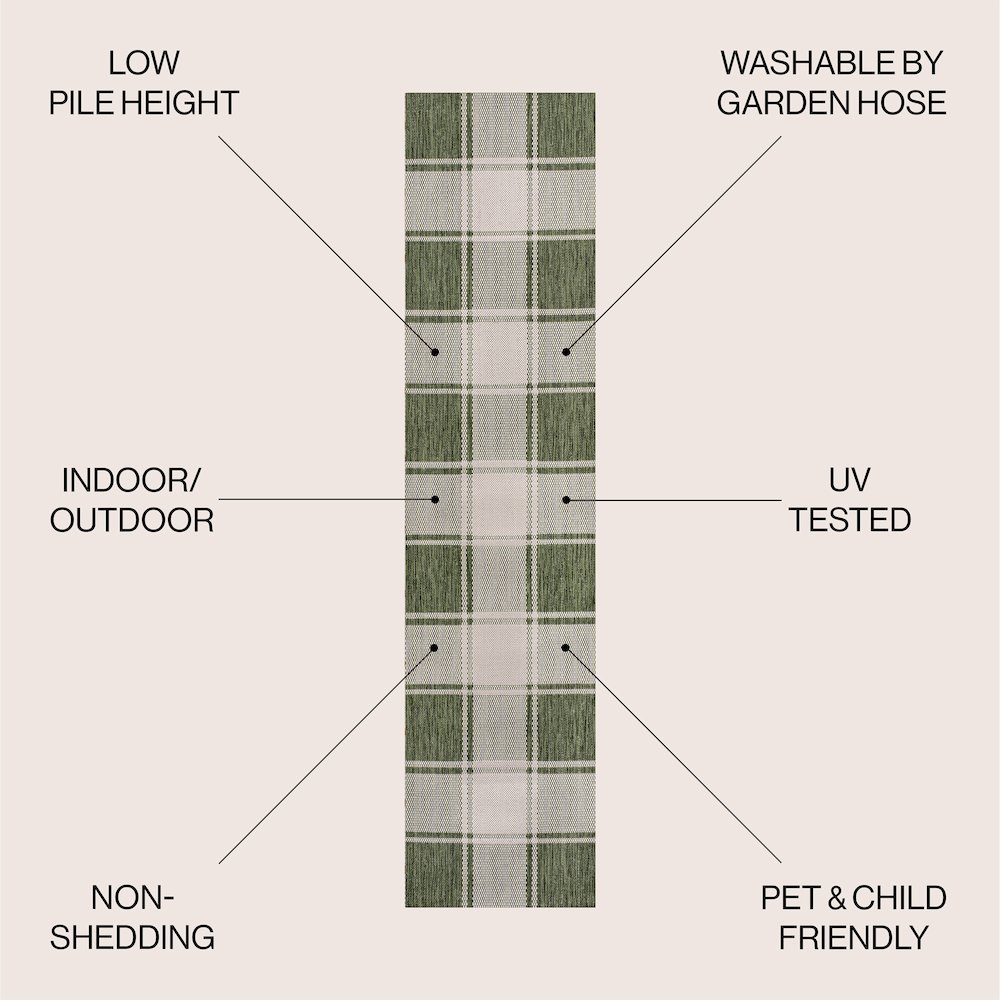 Sabine Traditional Farmhouse Bold Gingham Green/Cream Indoor/Outdoor Area Rug. Picture 2