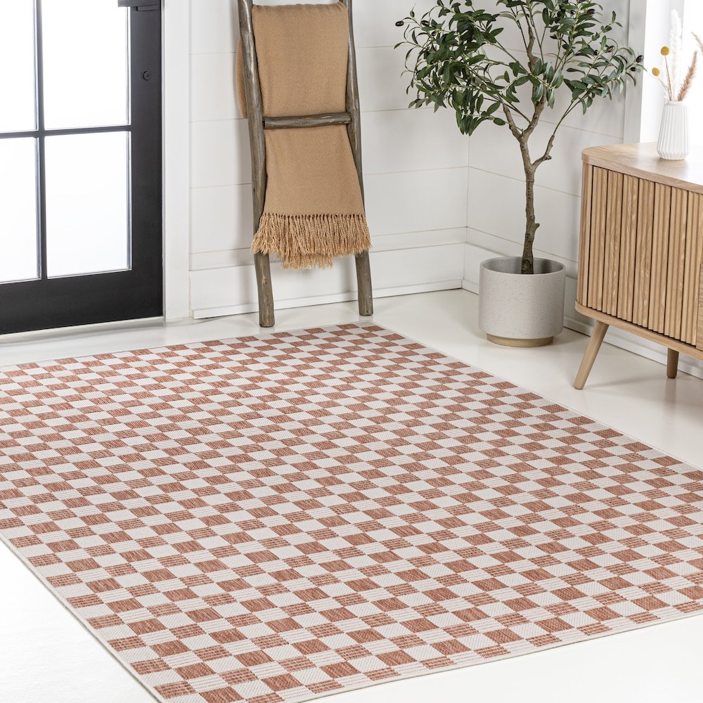 Aimee Traditional Cottage Checkerboard Indoor/Outdoor Area Rug. Picture 3