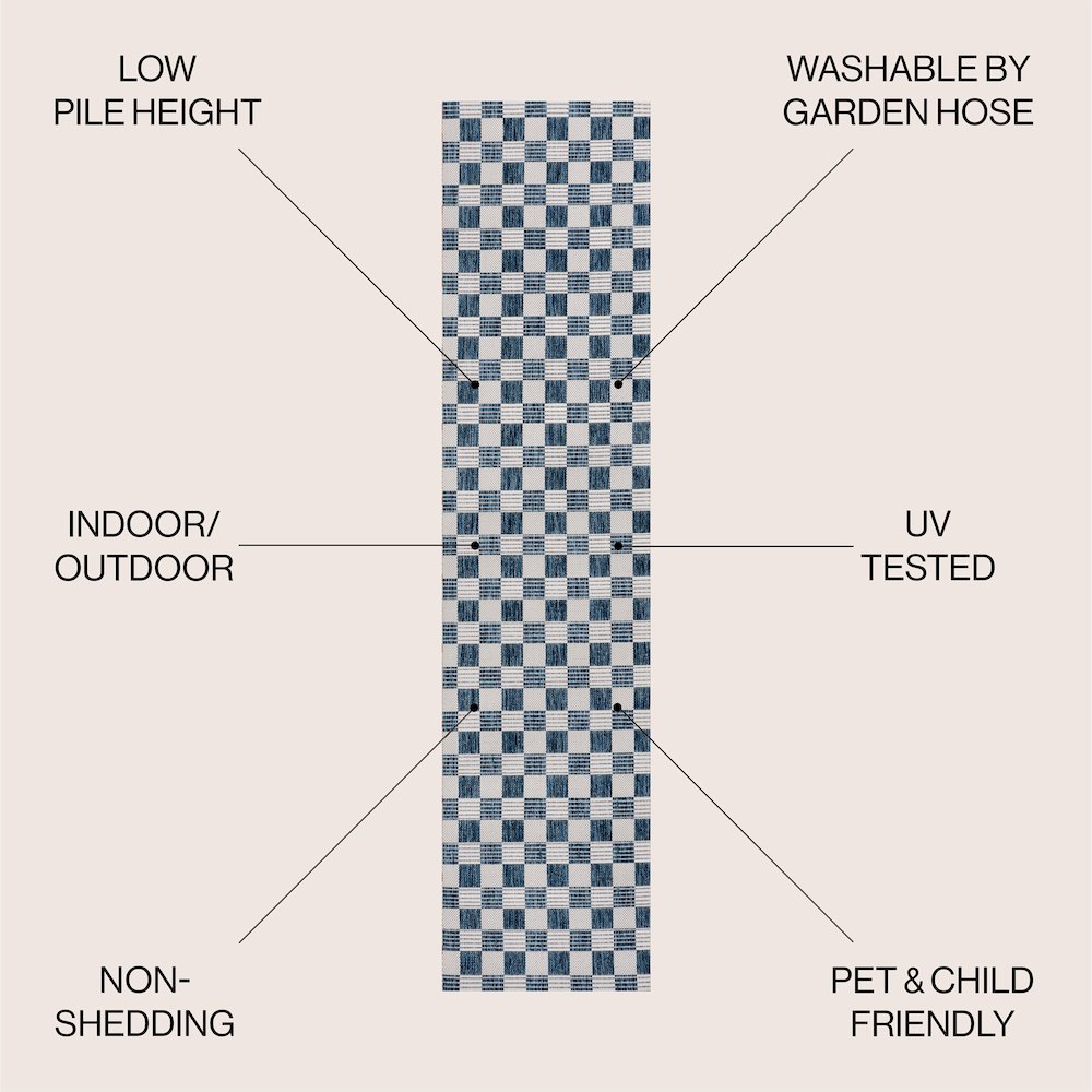 Aimee Traditional Cottage Checkerboard Indoor/Outdoor Area Rug. Picture 2