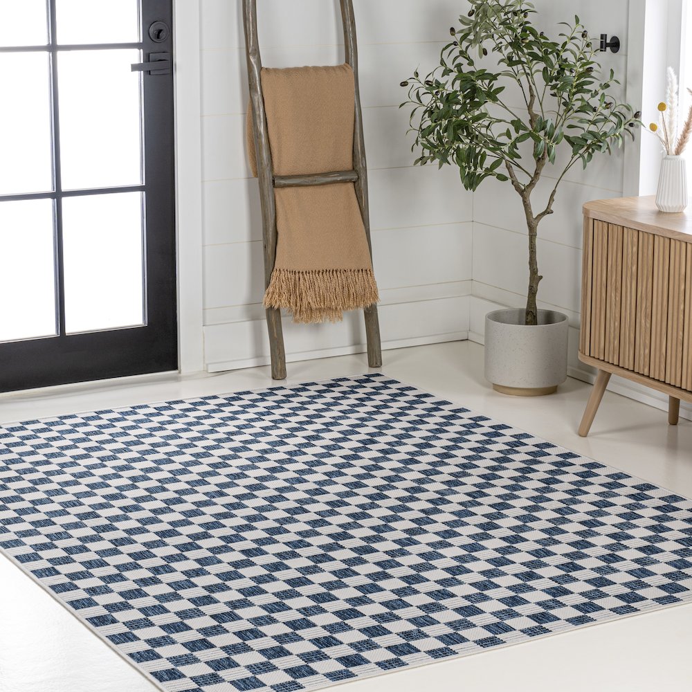 Aimee Traditional Cottage Checkerboard Indoor/Outdoor Area Rug. Picture 3
