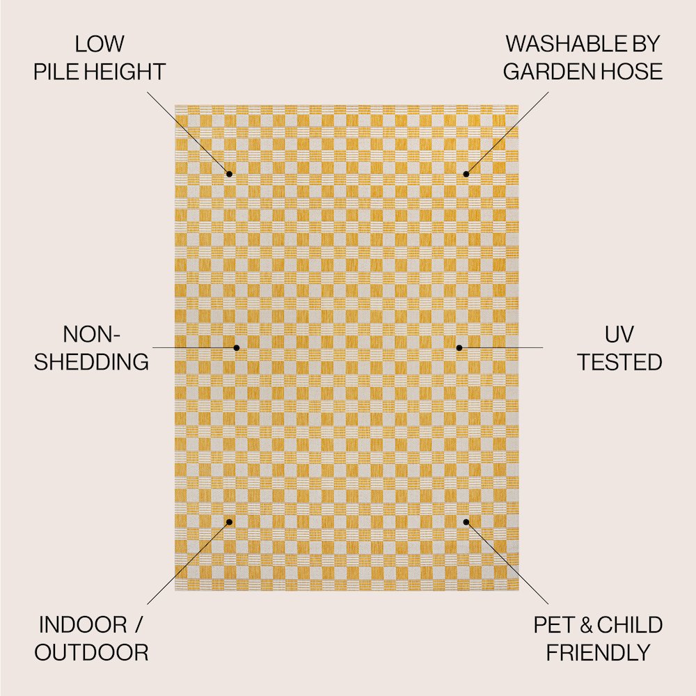 Aimee Traditional Cottage Checkerboard Indoor/Outdoor Area Rug. Picture 5