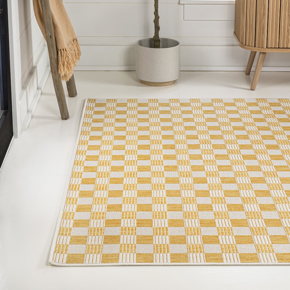 Aimee Traditional Cottage Checkerboard Indoor/Outdoor Area Rug. Picture 1