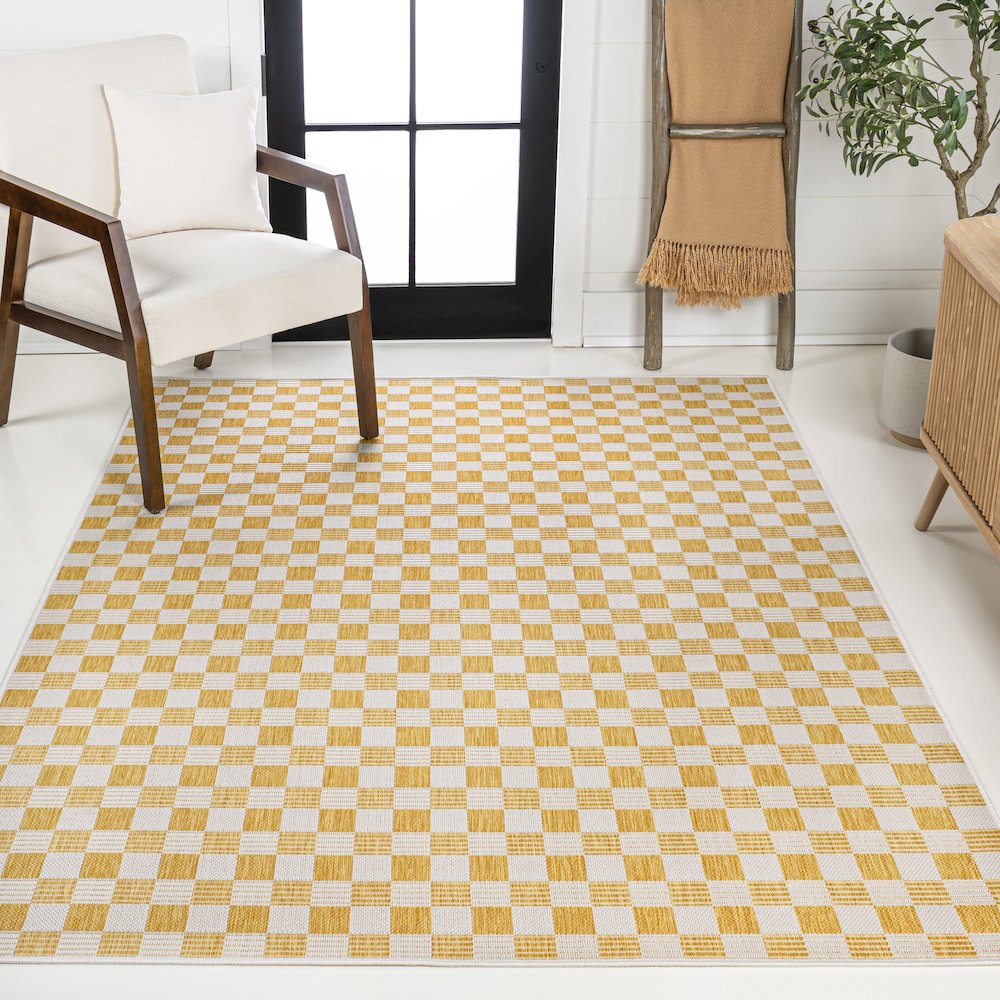 Aimee Traditional Cottage Checkerboard Indoor/Outdoor Area Rug. Picture 2